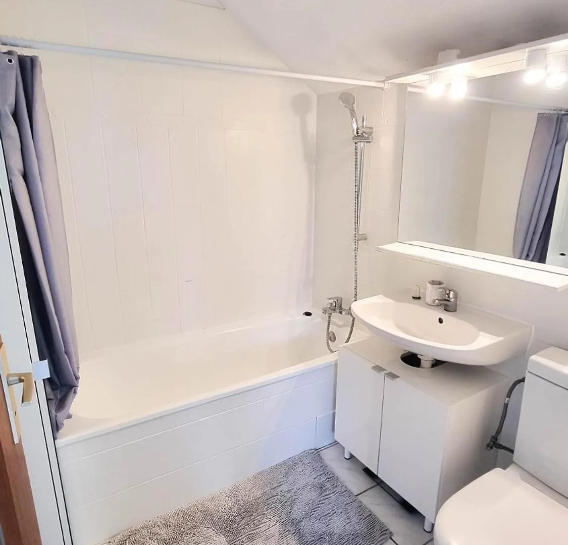 페르네이 볼테르 Duplex A 2 Pas De L'Aeroport, Proche Onu & Palexpo 아파트 프랑스